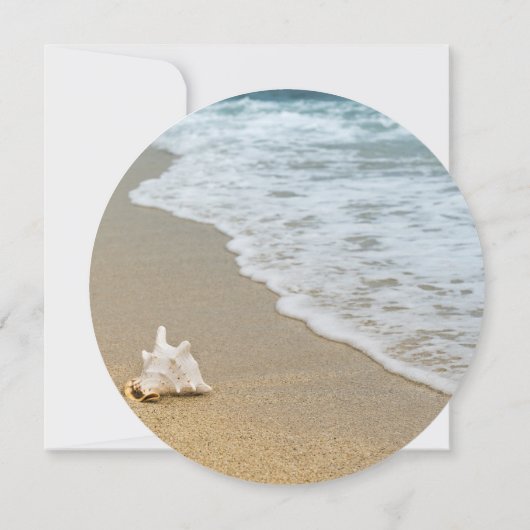 Sand Dollar Round Save the Date Cards Einladung (Rückseite)