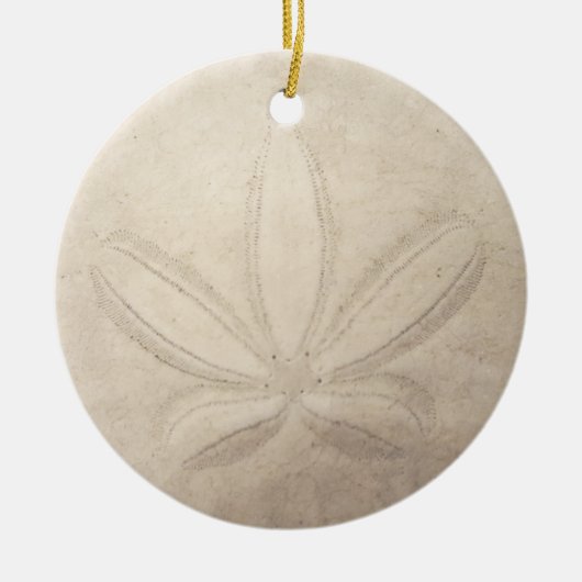 Sand-Dollar-runde Verzierung Keramikornament (Vorne)