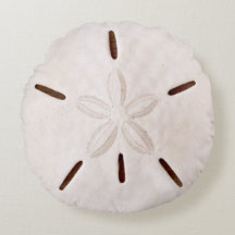 Sand-Dollar