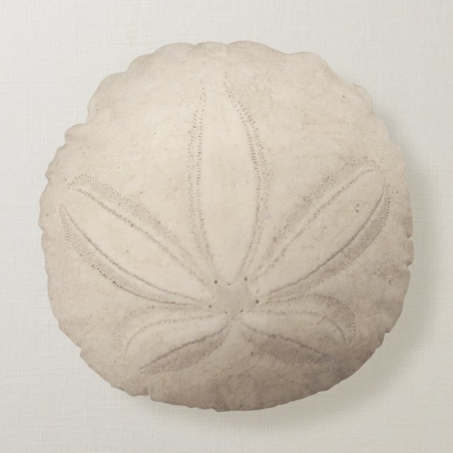 Sand-Dollar-rundes Kissen (Vorderseite)