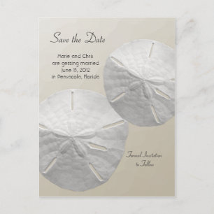 Sand Dollar Save the Date Beach Theme Wedding Ankündigungspostkarte