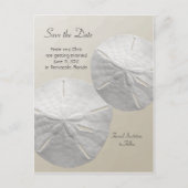 Sand Dollar Save the Date Beach Theme Wedding Ankündigungspostkarte (Vorderseite)