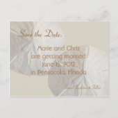 Sand Dollar Save the Date Beach Theme Wedding Ankündigungspostkarte (Vorderseite)