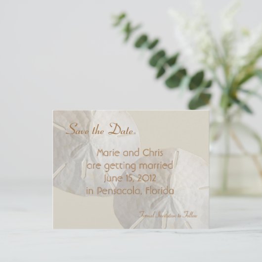 Sand Dollar Save the Date Beach Theme Wedding Ankündigungspostkarte (Stehend Vorderseite)