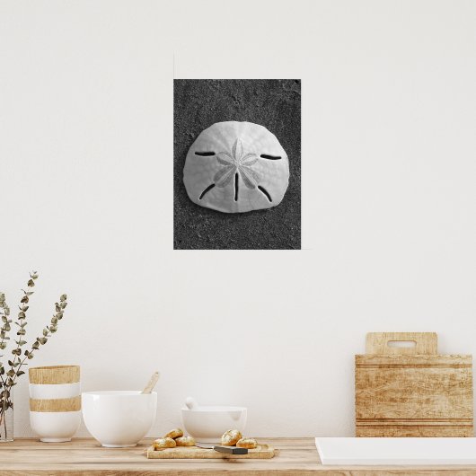 Sand Dollar (schwarz und weiß) Poster (Küche)