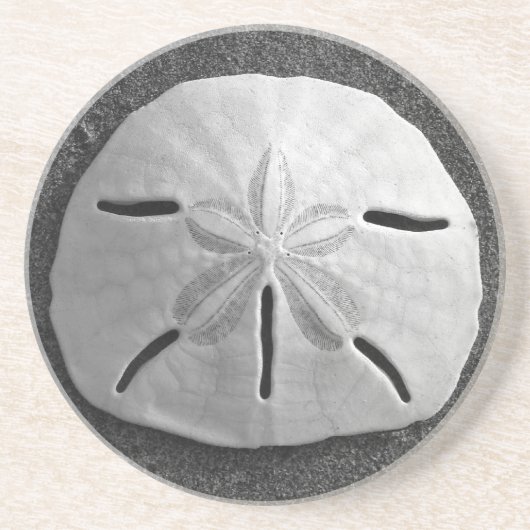 Sand Dollar Sea Muschel Beach Drink Untersetzer (Vorne)