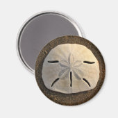 Sand Dollar Sea Muschel Beach Magnet (Vorderseite/Rückseite)