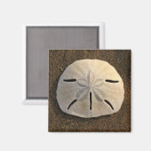 Sand Dollar Sea Muschel Beach Magnet (Vorderseite/Rückseite)