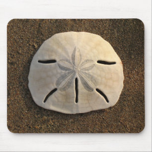 Sand Dollar Sea Muschel Sand Beach Mousepad