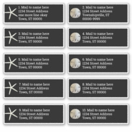 Sand Dollar Sea Stars Schwarzes Individuelles Mail Aufkleber