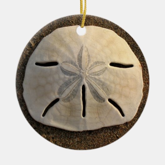 Sand Dollar Seashell Beach Ornament Pendant (Vorne)