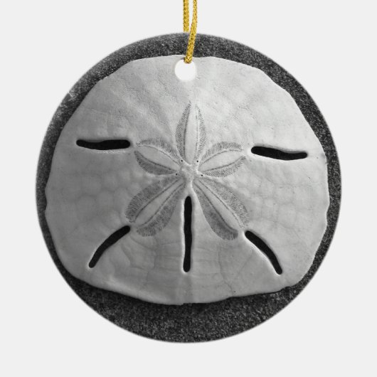 Sand Dollar Seashell Beach Ornament Pendant (Vorne)