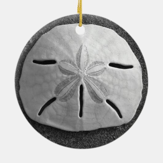 Sand Dollar Seashell Beach Ornament Pendant (Hinten)