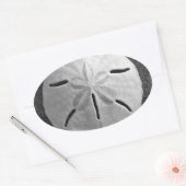 Sand Dollar Seashell Beach Sticker (Umschlag)