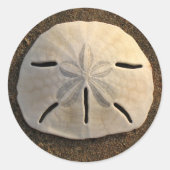 Sand Dollar Seashell Decal Custom Stickers (Vorderseite)