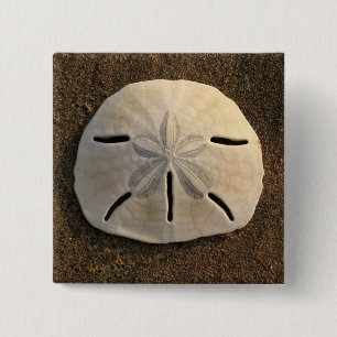 Sand Dollar Seashell Foto Button Custom Buttons