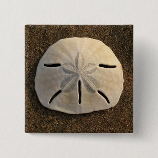 Sand Dollar Seashell Foto Button Custom Buttons