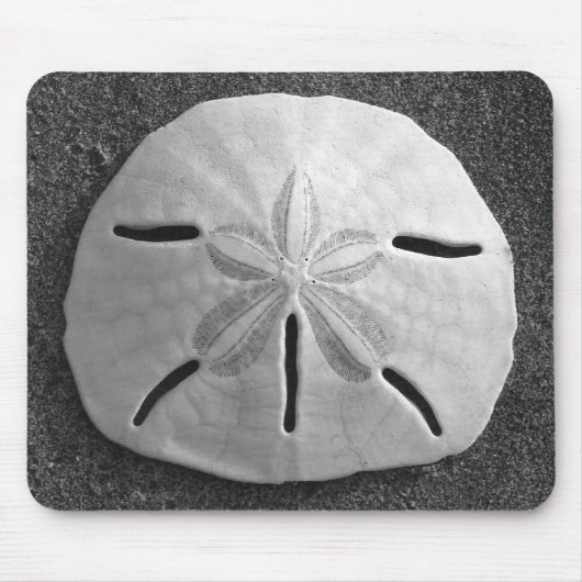 Sand Dollar Seashell Sand Beach Mousepad (Vorne)