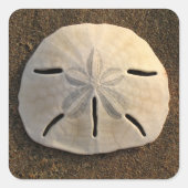 Sand Dollar Seashell Sticker Custom Decals (Vorderseite)