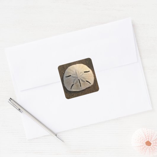 Sand Dollar Seashell Sticker Custom Decals (Umschlag)