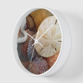 Sand Dollar Seashells Beach Theme Uhr (Winkel)