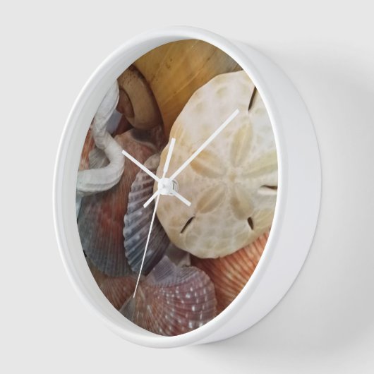 Sand Dollar Seashells Beach Theme Uhr (Winkel)