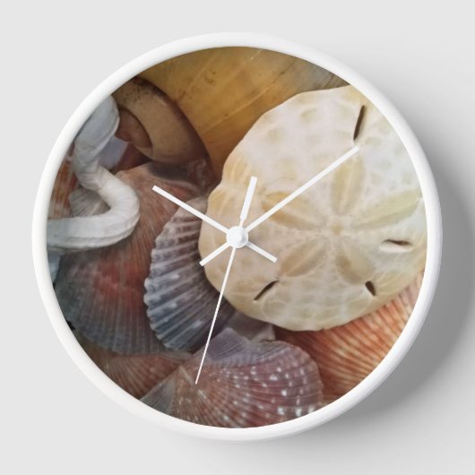 Sand Dollar Seashells Beach Theme Uhr (Vorderseite)