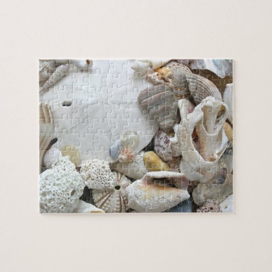 Sand Dollar Seashells Puzzle (Horizontal)