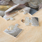 Sand Dollar Seashells Puzzle (Seite)
