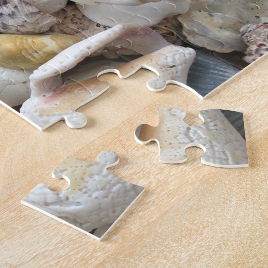 Sand Dollar Seashells Puzzle (Seite)