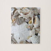 Sand Dollar Seashells Puzzle (Vertikal)