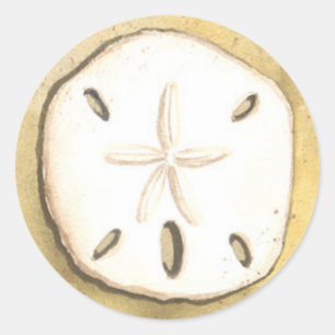 Sand-Dollar-SeeMuschel Runder Aufkleber