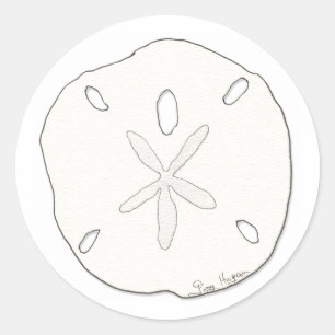 Sand Dollar Sticker