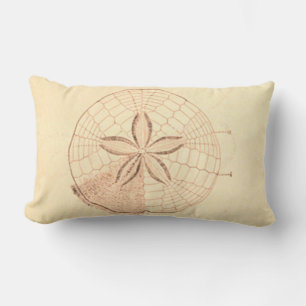 Sand-Dollar-Strand-Illustration Lendenkissen