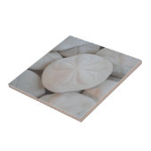 Sand Dollar Tile Fliese (Seite)