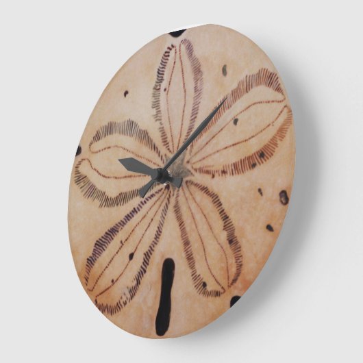 Sand-Dollar-Uhr Große Wanduhr (Winkel)