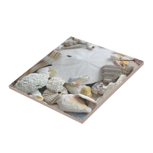 Sand Dollar und Seashells Keramik Tile Fliese (Seite)