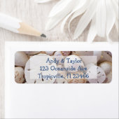 Sand Dollar und Seashells Rücksendeadressen-Aufkle (Insitu)