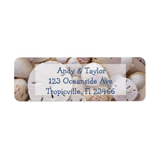 Sand Dollar und Seashells Rücksendeadressen-Aufkle (Vorne)