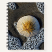 Sand Dollar und Surf Beach Foto 8x11 Notebook Notizblock (Vorderseite)