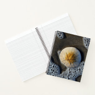 Sand Dollar und Surf Beach Foto 8x11 Notebook Notizblock