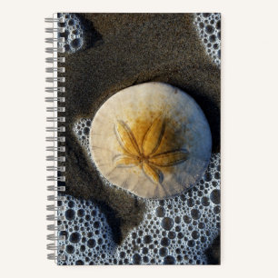 Sand Dollar und Surf Beach Foto 8x5 Notebook Notizblock
