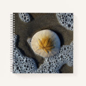 Sand Dollar und Surf Beach Foto 8x8 Notebook Notizblock (Vorderseite)