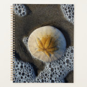 Sand Dollar und Surf Beach Foto Planer (Vorderseite)