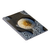 Sand Dollar und Surf Beach Foto Spiral Notebook Notizblock (Rechte Seite)