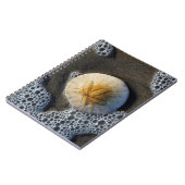 Sand Dollar und Surf Beach Foto Spiral Notebook Notizblock (Linke Seite)