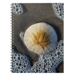 Sand Dollar und Surf Beach Foto Spiral Notebook Notizblock