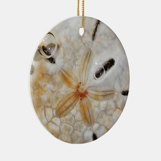 Sand-Dollar unter Wasser Keramik Ornament (Rechts)