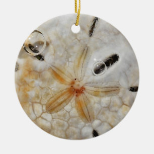 Sand-Dollar unter Wasser Keramik Ornament