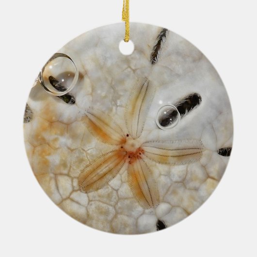 Sand-Dollar unter Wasser Keramik Ornament (Hinten)